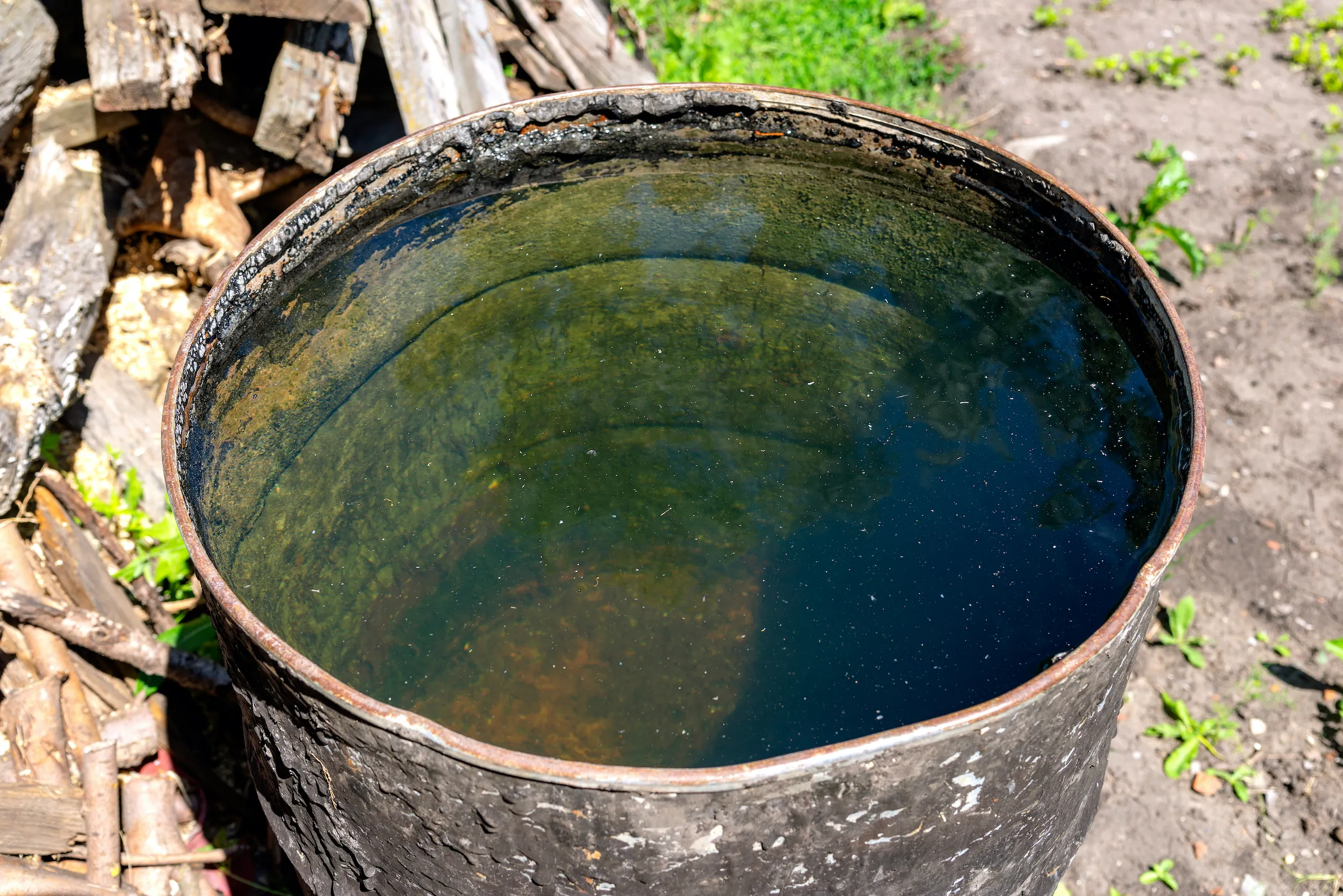 A rusty barrel full of rainwater